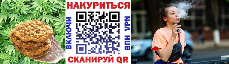 Canna-Cookies конопля Кочубеевское