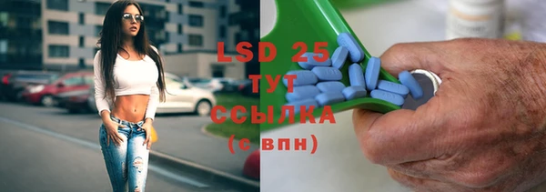 ГАЛЛЮЦИНОГЕННЫЕ ГРИБЫ Абаза