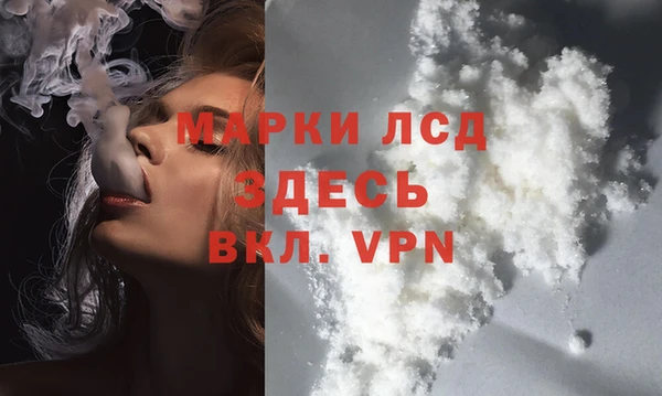 ГАЛЛЮЦИНОГЕННЫЕ ГРИБЫ Абаза