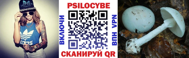 купить наркотики сайты Кочубеевское Псилоцибиновые грибы мицелий
